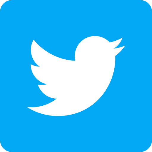 Buy Custom Twitter Accounts - Niche, Followers & Country Based